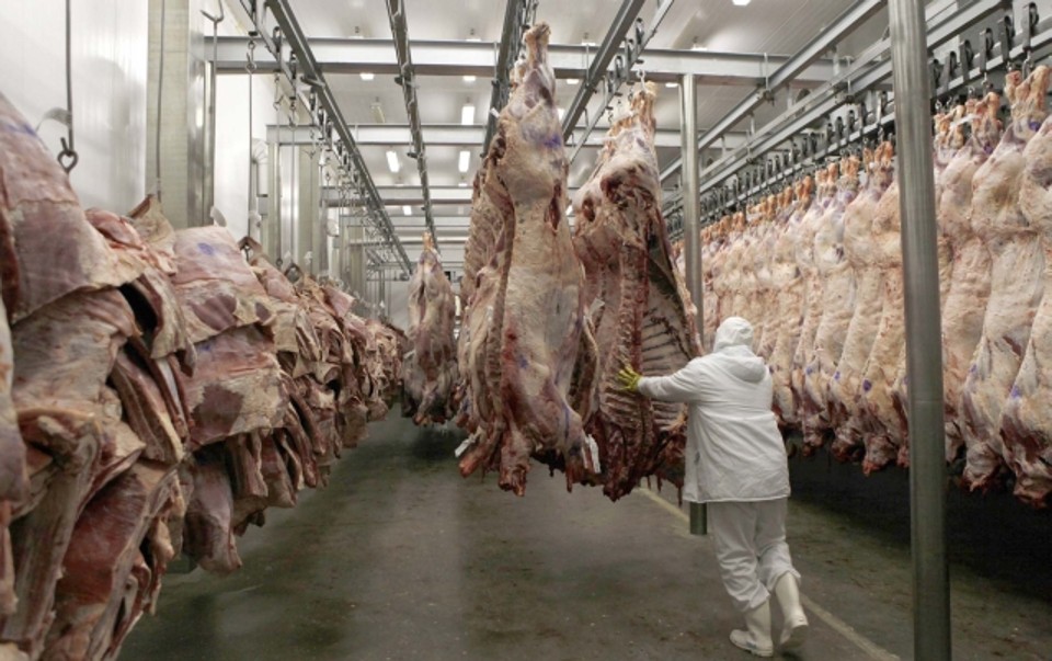 93b0c3fa3aadb754765f2650272c0caa gplarge